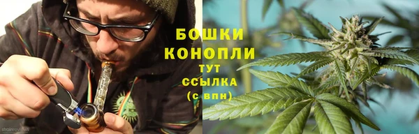 ПСИЛОЦИБИНОВЫЕ ГРИБЫ Балабаново