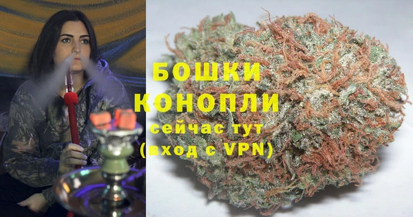 ПСИЛОЦИБИНОВЫЕ ГРИБЫ Балабаново