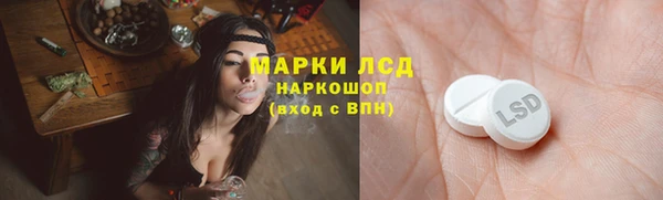 ПСИЛОЦИБИНОВЫЕ ГРИБЫ Балабаново