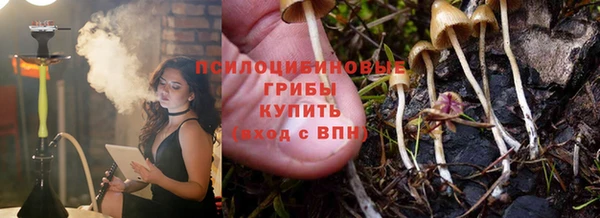 ПСИЛОЦИБИНОВЫЕ ГРИБЫ Балабаново