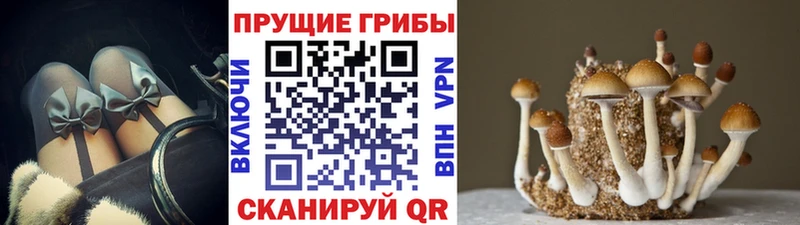 Псилоцибиновые грибы ЛСД Красноперекопск